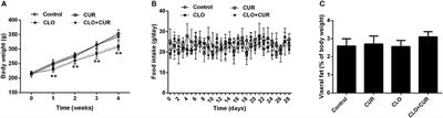 Curcumin Activates AMPK Pathway and Regulates Lipid Metabolism in Rats Following Prolonged Clozapine Exposure